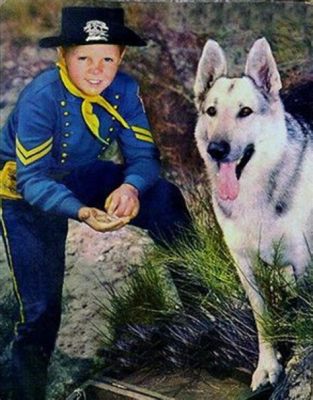 The Adventures of Rin Tin Tin:  Seikkailut legendaarisella saksanpaimenkoiralla ja pojan rohkeilla tekoilla!